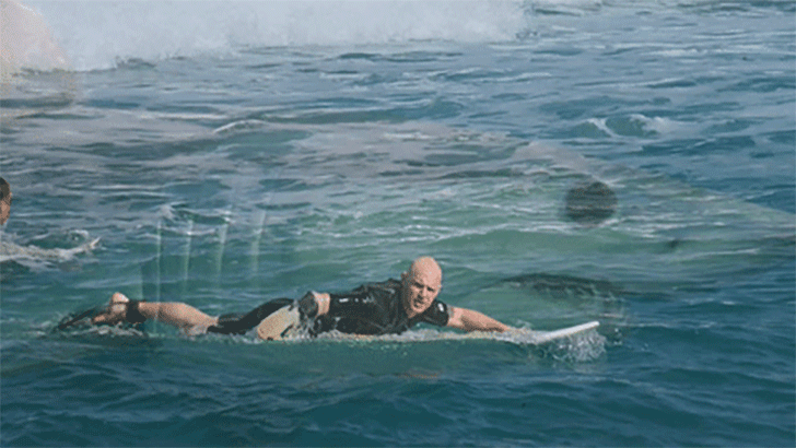 10-final-moments-recorded-seconds-before-animals-fatal-attack_8