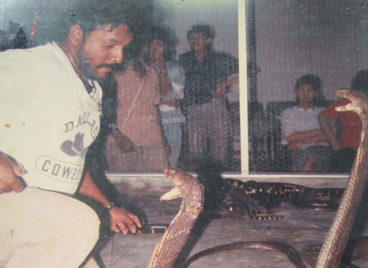 10-final-moments-recorded-seconds-before-animals-fatal-attack_9