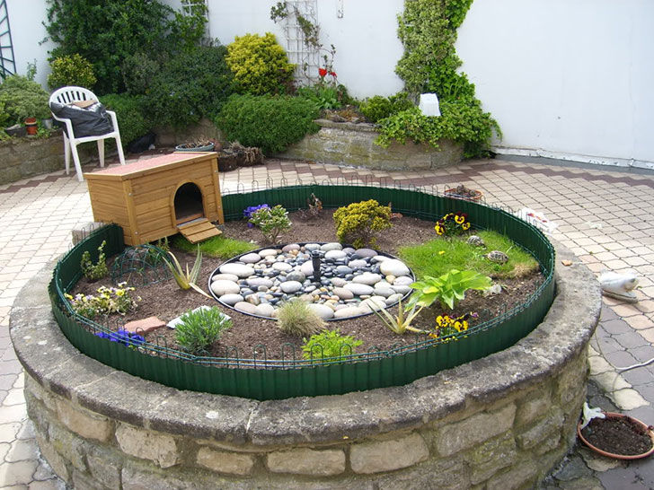  Turtles or tortoises need a secure habitat.