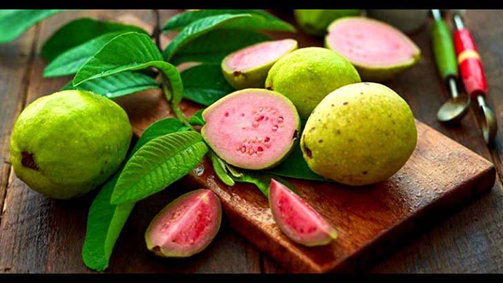 12-amazing-health-benefits-of-guava-leaves-from-treating-hair-loss-to-cancer_7