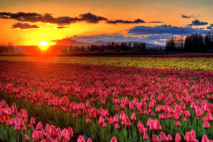 12-incredibly-surreal-wonders-in-america-you-need-to-visit-before-you-die_5