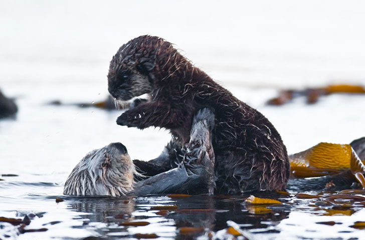 13-warm-pics-show-that-moms-love-is-the-greatest-love-ever_11