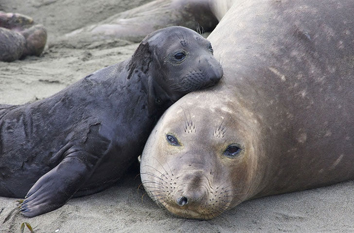 13-warm-pics-show-that-moms-love-is-the-greatest-love-ever_3