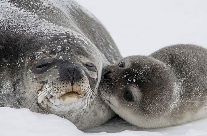 13-warm-pics-show-that-moms-love-is-the-greatest-love-ever_4