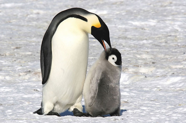 13-warm-pics-show-that-moms-love-is-the-greatest-love-ever_7