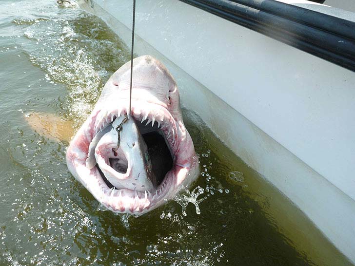 15-amazing-pictures-that-look-fake-but-are-totally-real_10