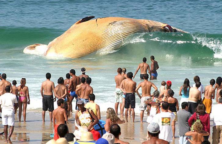 15-amazing-pictures-that-look-fake-but-are-totally-real_16