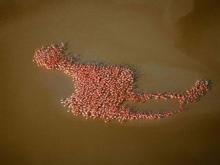 15-amazing-pictures-that-look-fake-but-are-totally-real_7
