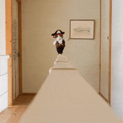 15-funny-pics-that-reveal-the-reality-of-living-with-a-cat_5