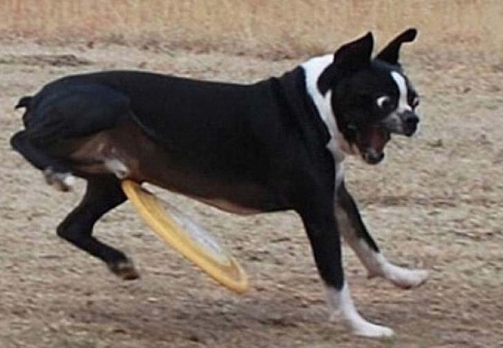 15-most-unfortunate-pictures-taken-the-very-moment-before-disaster-strikes_10