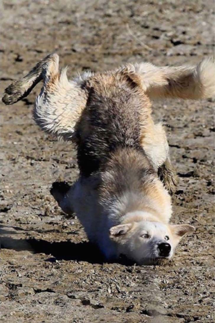 15-most-unfortunate-pictures-taken-the-very-moment-before-disaster-strikes_12