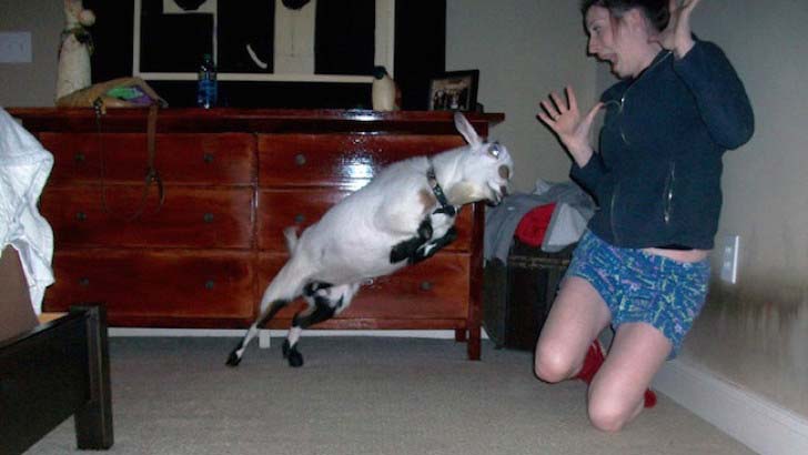 15-most-unfortunate-pictures-taken-the-very-moment-before-disaster-strikes_2