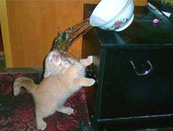 15-most-unfortunate-pictures-taken-the-very-moment-before-disaster-strikes_5