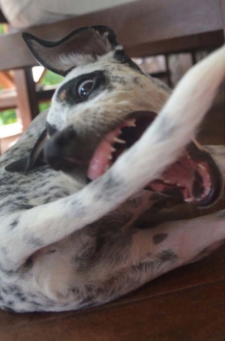15-most-unfortunate-pictures-taken-the-very-moment-before-disaster-strikes_7