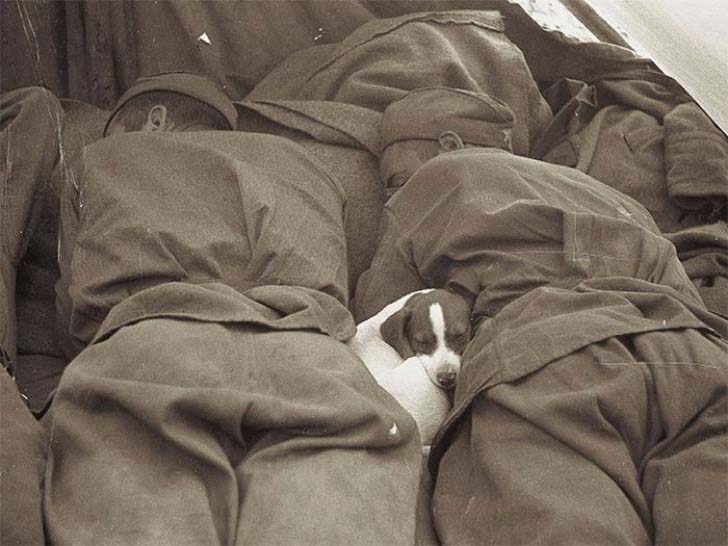 15-of-the-most-heartwarming-historic-photos-ever_13
