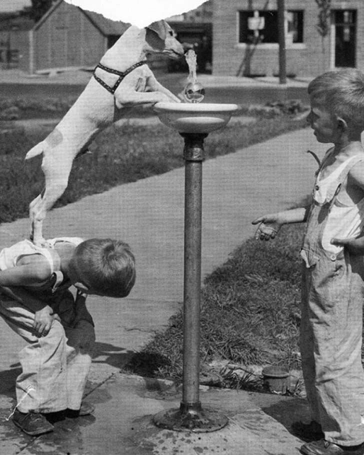 15-of-the-most-heartwarming-historic-photos-ever_5