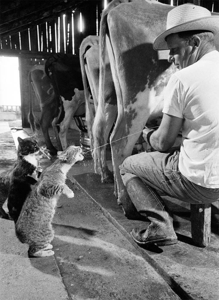 15-of-the-most-heartwarming-historic-photos-ever_8