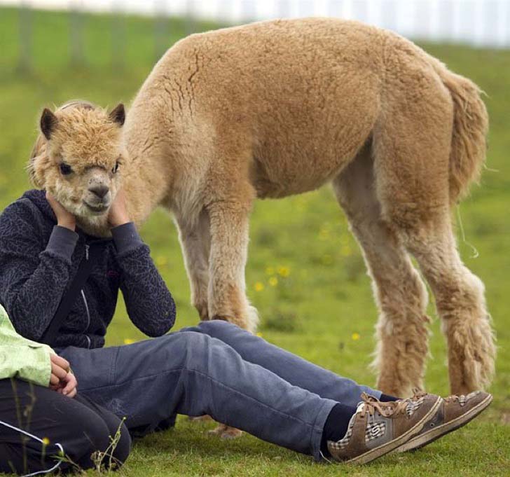 15-of-the-most-unfortunate-pictures-ever-taken_4
