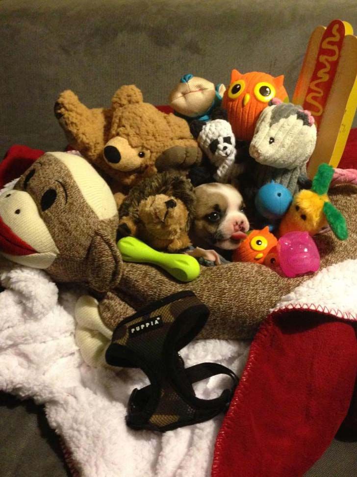 15-seemingly-innocent-pictures-that-actually-hide-something-weird_10
