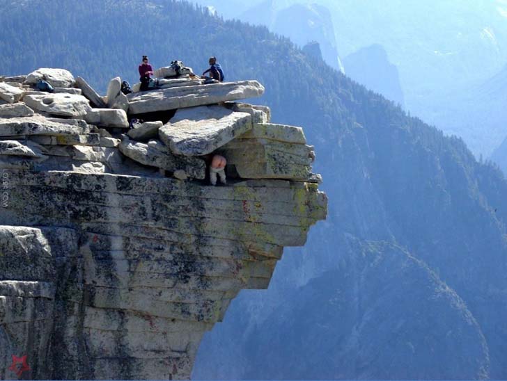 15-seemingly-innocent-pictures-that-actually-hide-something-weird_5