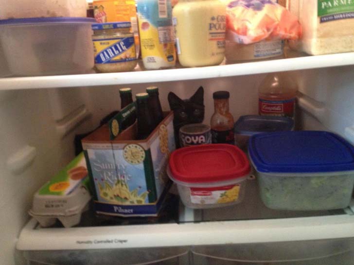 15-seemingly-innocent-pictures-that-actually-hide-something-weird_9