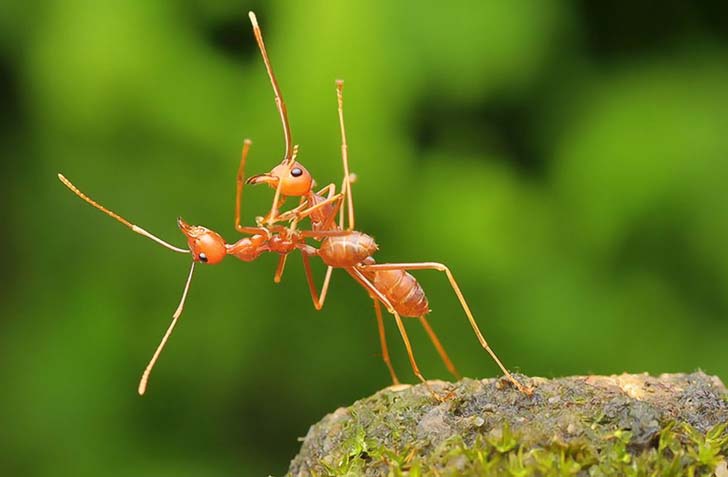 16-funniest-wildlife-comedies-i-have-ever-seen_17
