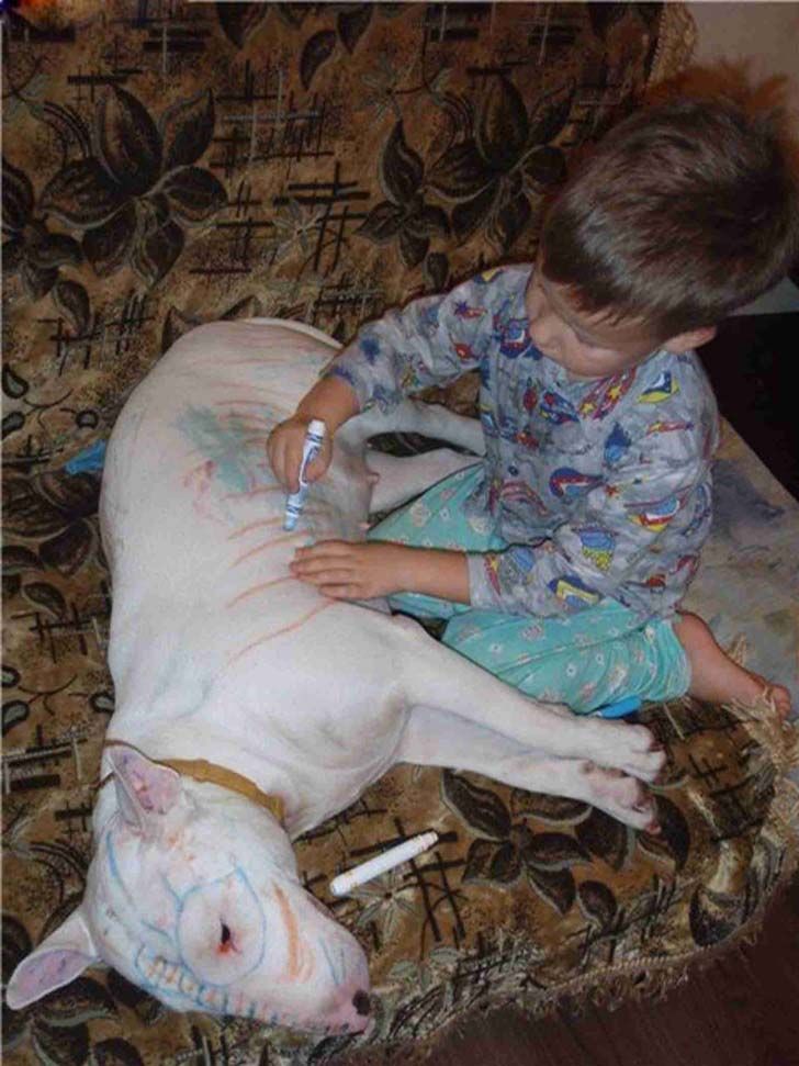 19-funny-images-prove-that-kids-are-just-the-best-at-entertaining-us_9