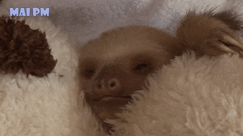 20-adorable-moments-of-baby-animals-that-will-brighten-your-day_11