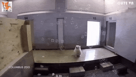 20-adorable-moments-of-baby-animals-that-will-brighten-your-day_19