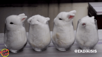 20-adorable-moments-of-baby-animals-that-will-brighten-your-day_2