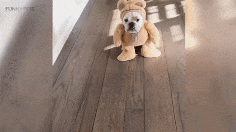20-adorable-moments-of-baby-animals-that-will-brighten-your-day_20