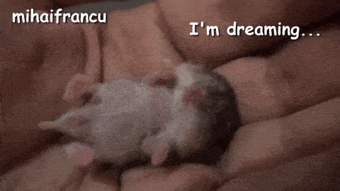 20-adorable-moments-of-baby-animals-that-will-brighten-your-day_4