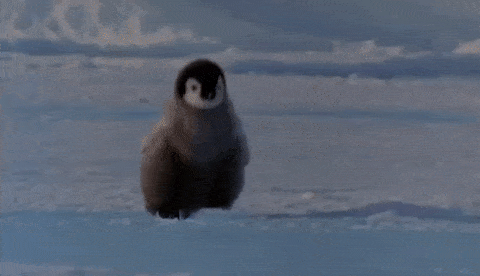 20-adorable-moments-of-baby-animals-that-will-brighten-your-day_8