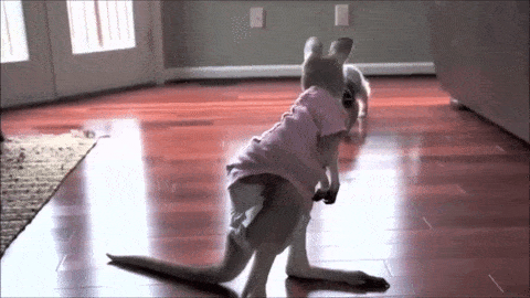 20-adorable-moments-of-baby-animals-that-will-brighten-your-day_9