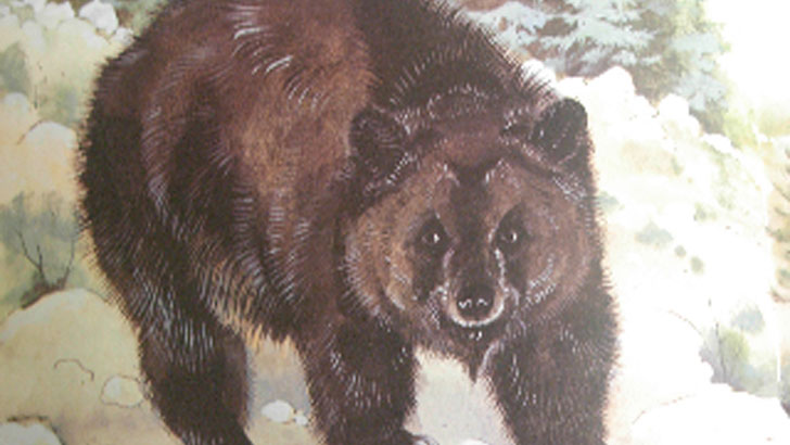 20-remarkable-species-of-animals-we-have-lost-forever_18