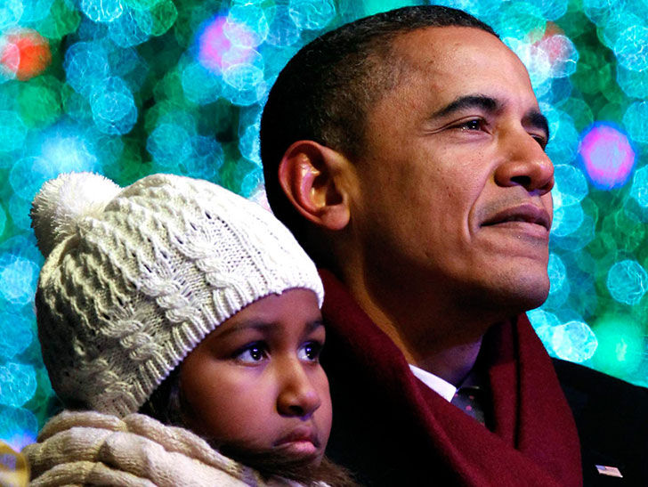 22-bombshell-secrets-barack-obama-doesnt-want-you-to-know_22