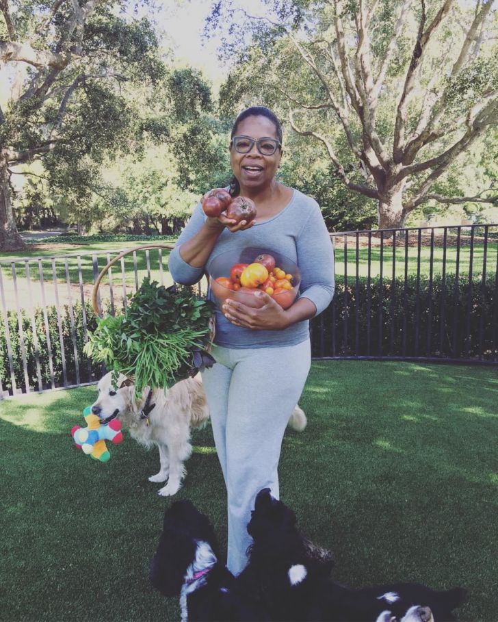 Oprah's $90 Million Montecito Mansion Is Undoubtedly Gorgeous_28