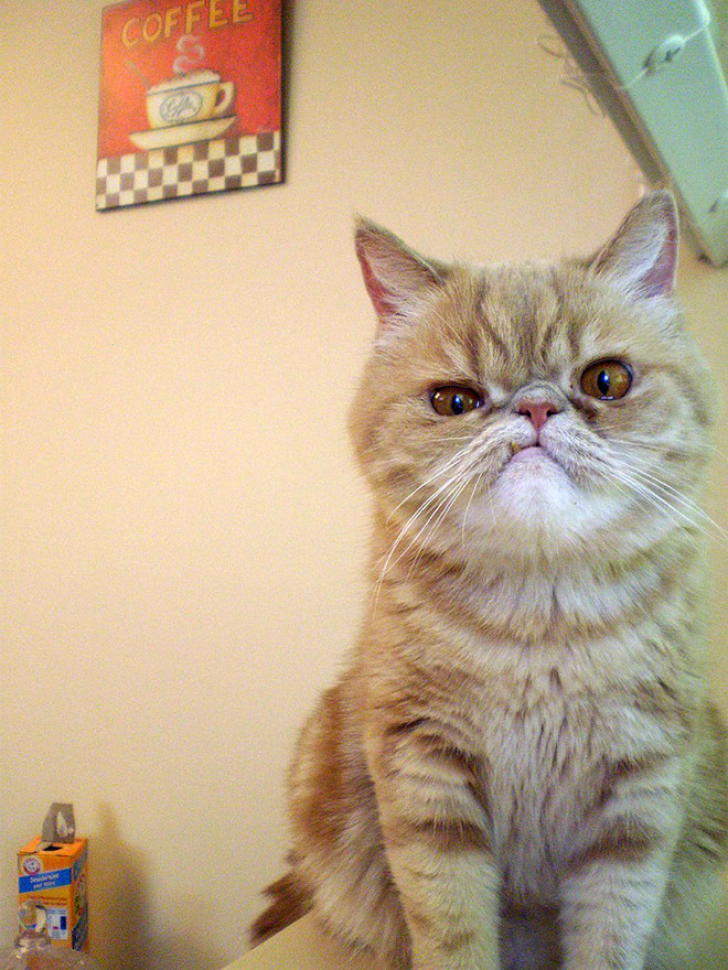 Do I Look Happy To You?_3