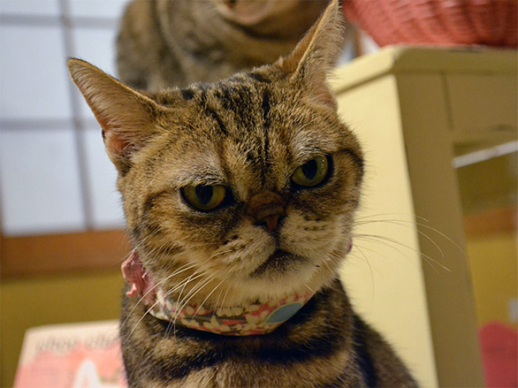 Do I Look Happy To You?_7