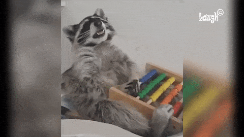 funny-raccoon-pics-show-16-signs-that-youve-met-the-right-person_2