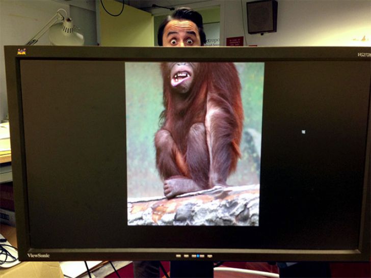 Genius Desk Safari_1