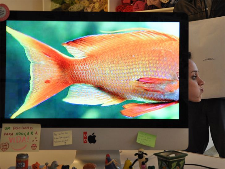 Genius Desk Safari_20