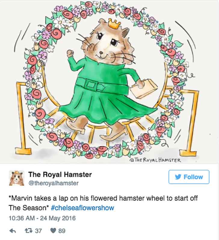 Princess Kate and hamster Marvin