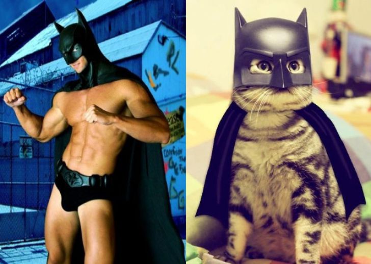 Hilarious Modeling Poses Reenacted By Cats_11