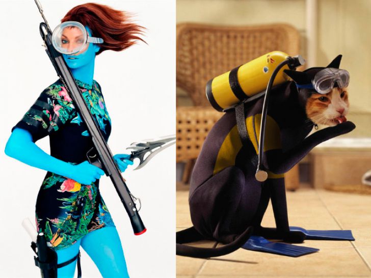 Hilarious Modeling Poses Reenacted By Cats_15