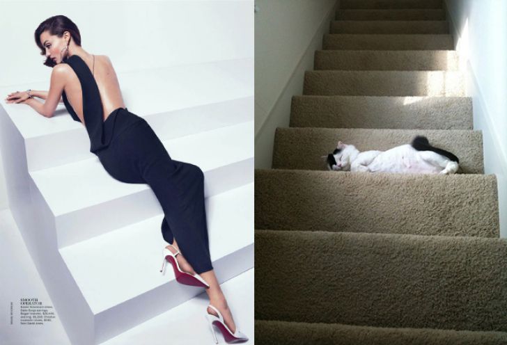 Hilarious Modeling Poses Reenacted By Cats_4