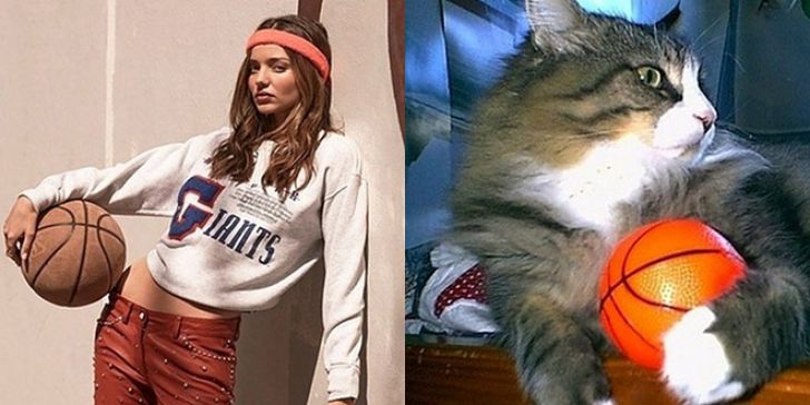 Hilarious Modeling Poses Reenacted By Cats_5