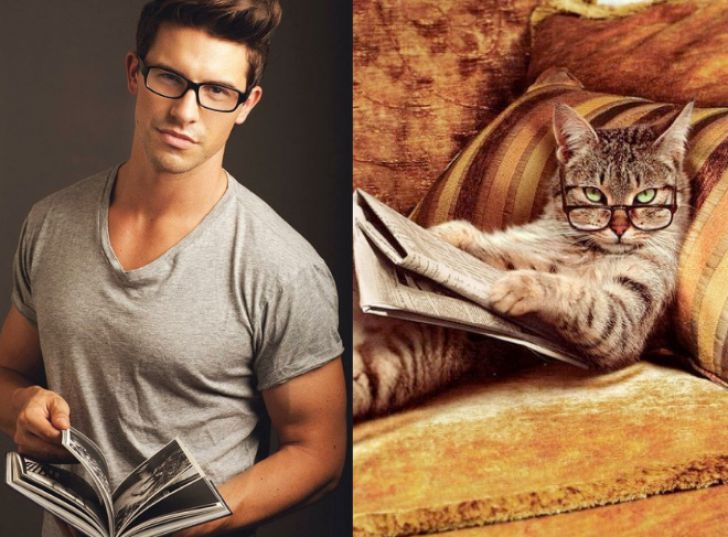Hilarious Modeling Poses Reenacted By Cats_9