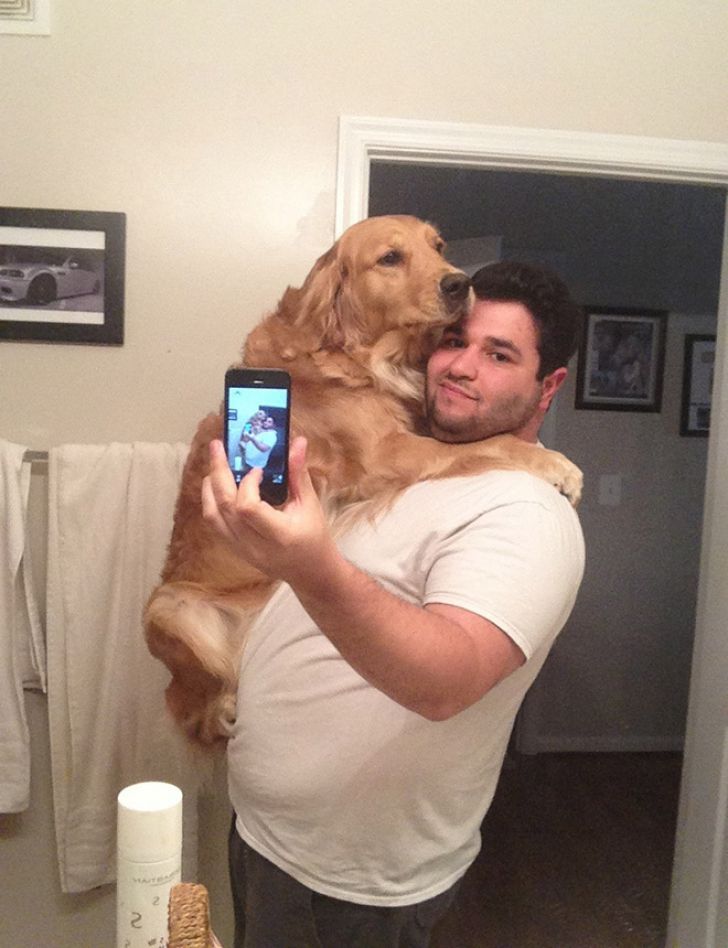 Huge Dogs That Think They’re Still Puppies_15