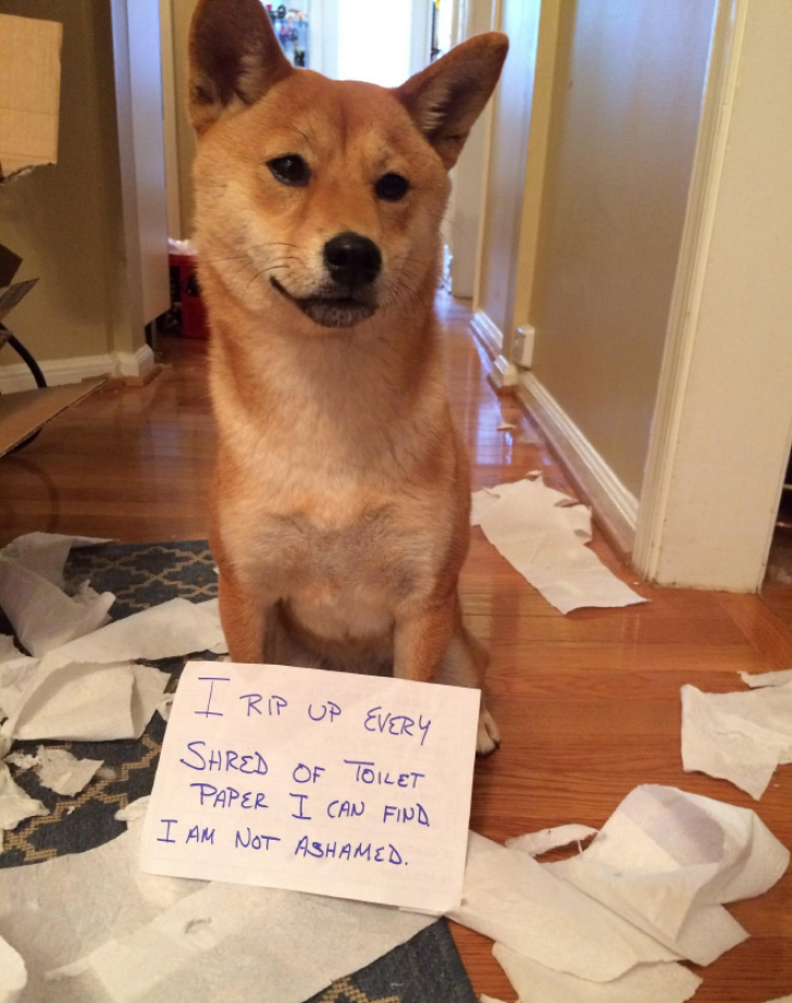 “I’m Really Sorry For What I Did”_12